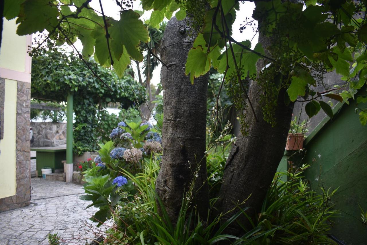 Casa Con Piscina Al Lado Del Mar En Viladesuso Villadesuso エクステリア 写真
